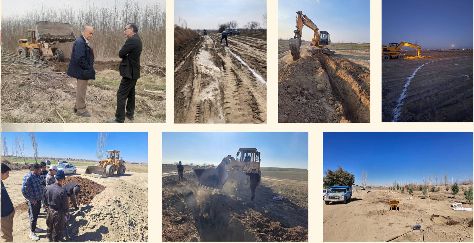 silver-generation-hotel-Tree1